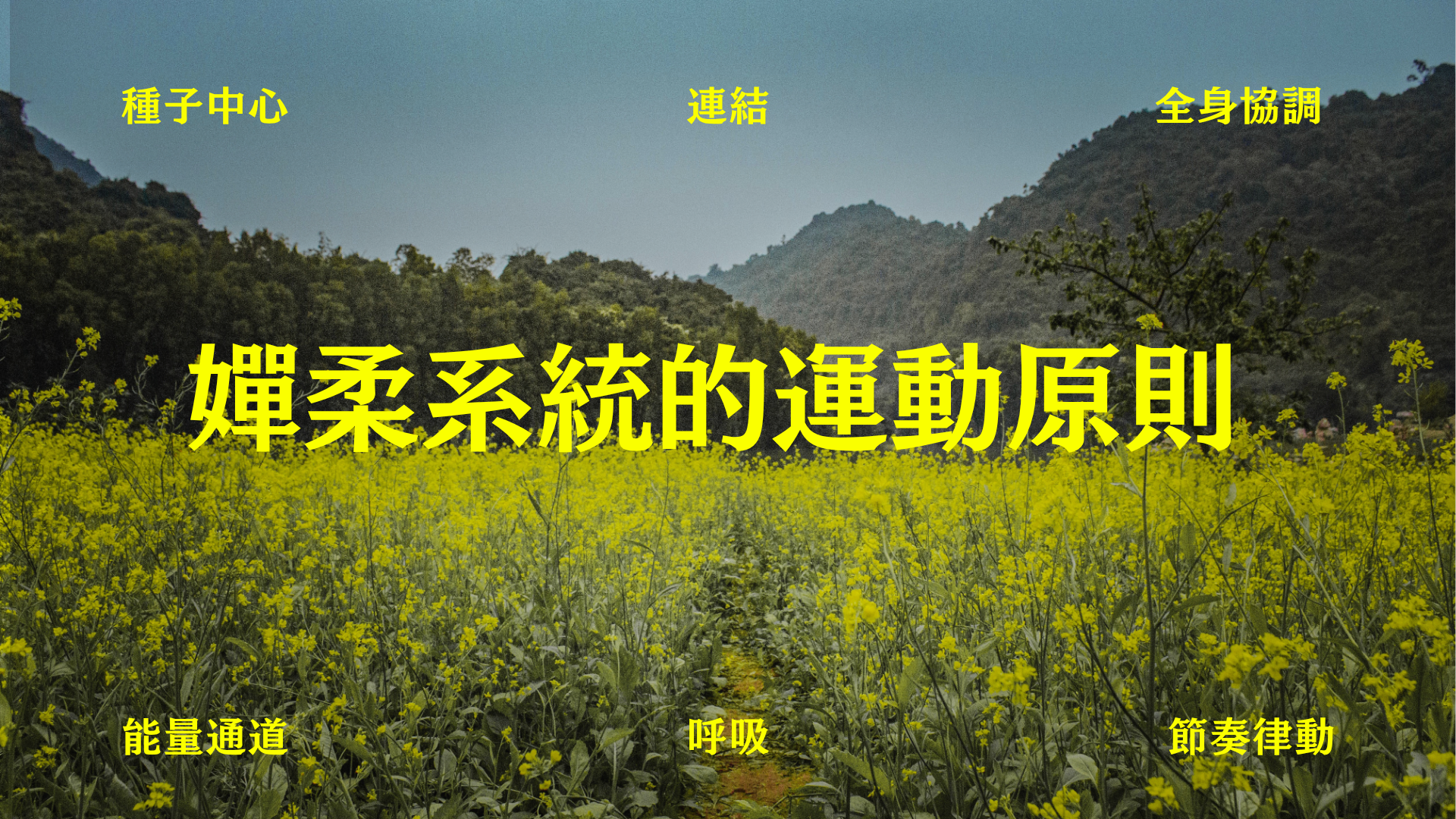 【知識理論課】嬋柔系統的運動原則 – 新手必須弄懂的六大關鍵